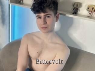 Brucevolt