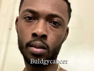 Buldgycancer
