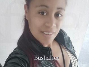 Bushalice