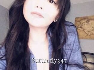 Butterfly347