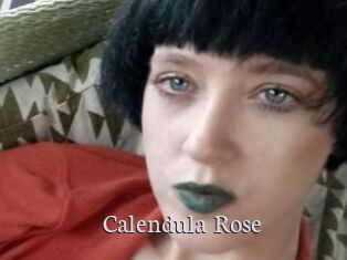 Calendula_Rose
