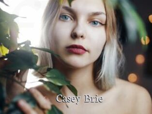 Casey_Brie Free Host Empire