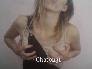 Chaton31