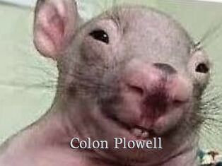 Colon_Plowell