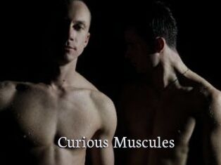 Curious_Muscules