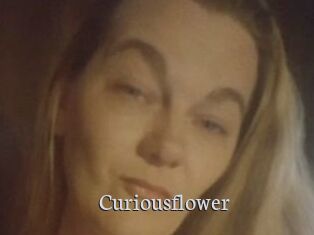 Curiousflower
