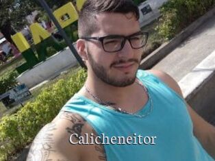 Calicheneitor