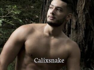 Calixsnake