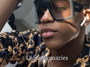 callmekanaries Free Host Empire