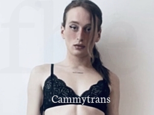 cammytrans Free Host Empire