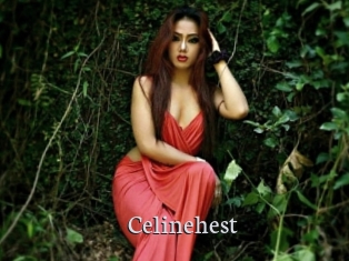 Celinehest