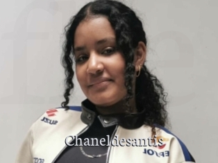 Chaneldesantis