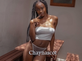 Chaynascot