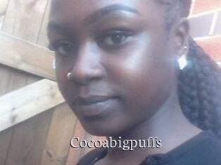 Cocoabigpuffs