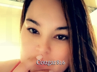 Cougar816