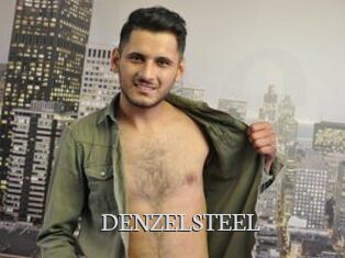 DENZELSTEEL