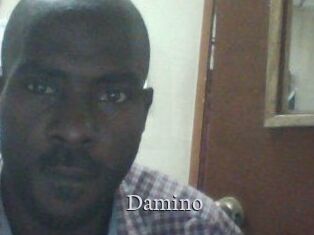Damino