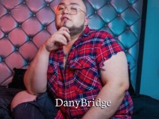 DanyBridge