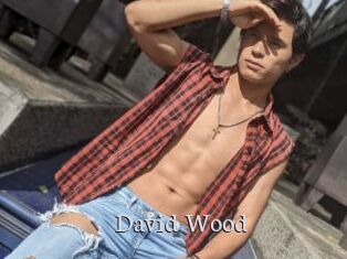 David_Wood