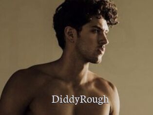 DiddyRough