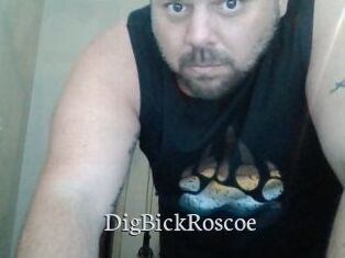 DigBickRoscoe