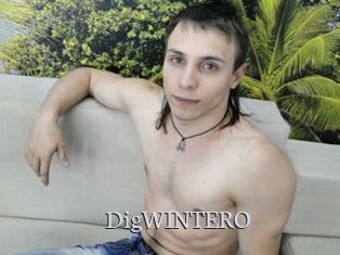 DigWINTERO