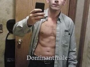 Dominantmale