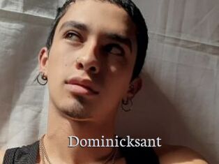 Dominicksant