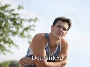 DominikYa