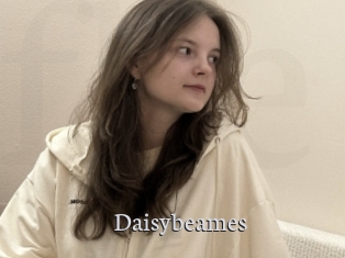 Daisybeames