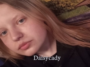 Daisycady