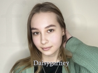 Daisygarney