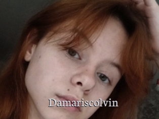 Damariscolvin