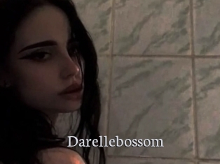 Darellebossom