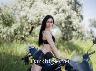 Darkbigsecret