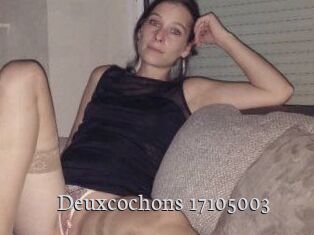 Deuxcochons