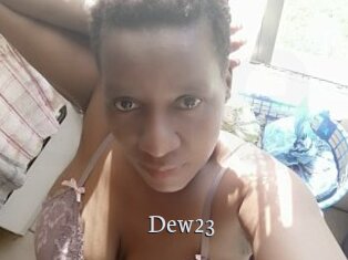 Dew23