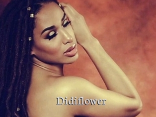 Didiflower