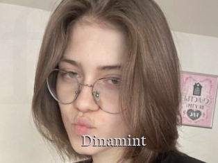 Dinamint