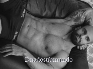 dnadosubmundo Free Host Empire