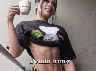 Domin_hamss