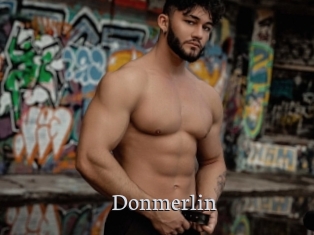 Donmerlin