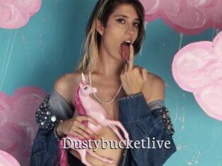 Dustybucketlive