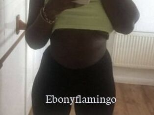 Ebony_flamingo