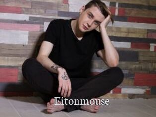 Eitonmouse