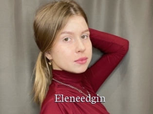 Eleneedgin