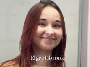 Elgaalsbrook
