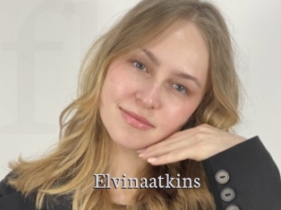 Elvinaatkins
