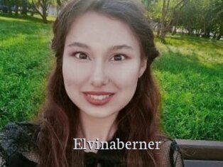 Elvinaberner