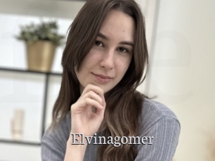Elvinagomer